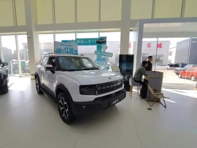 補貼“疊疊樂”，開發(fā)區(qū)新能源汽車銷售火熱